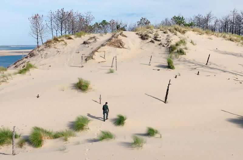 Im Golf von Biskaya bewegt sich die höchste Düne Europas, die Düne von Pilat, unter dem Einfluss von Wind und Gezeiten um einen bis fünf Meter pro Jahr. – Bild: Haut et Court Doc