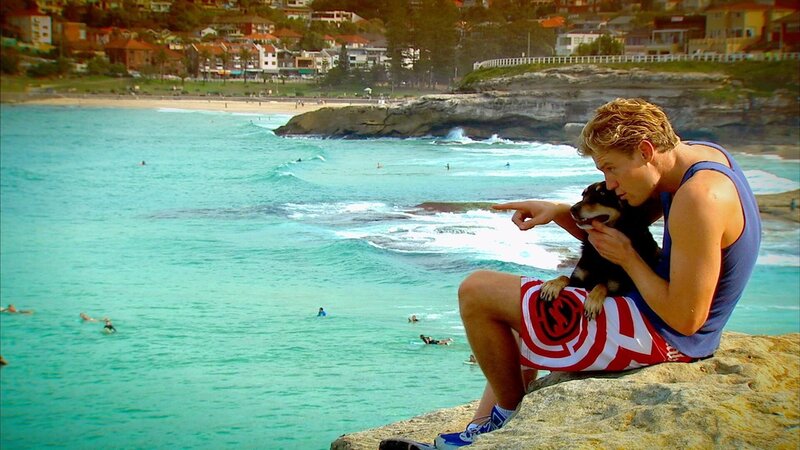 Dr. Chris Brown ist Tierarzt am berühmten Bondi Beach. Zusammen mit seinem Hund Rusty verbringt er möglichst viel Zeit am bekanntesten Strand Australiens … – Bild: Network Ten, Australia