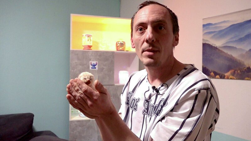 S11E82: Florian freut sich derweil über tierischen Nachwuchs: Katze Nala hat drei Babys bekommen, eines starb leider nach der Geburt. Die anderen beiden entwickeln sich prächtig und sind Florians ganzer Stolz. – Bild: RTLZWEI, UFA SHOW & FACTUAL