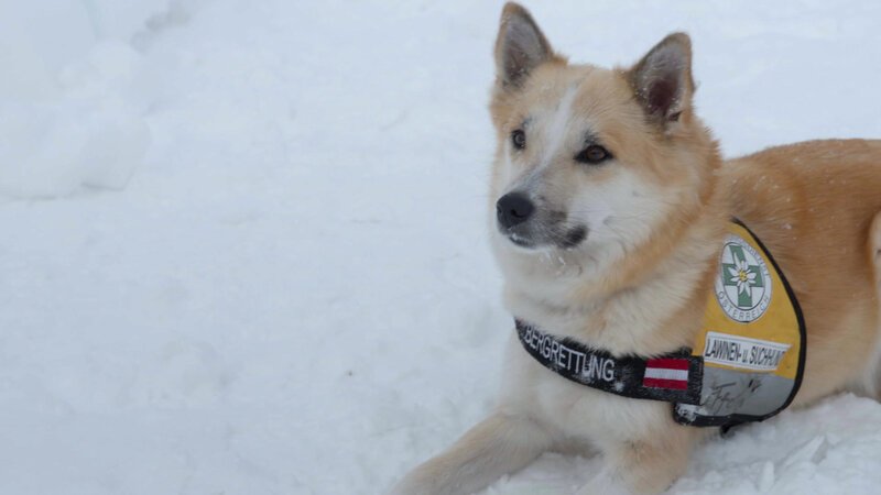 . – Bild: Bergblick