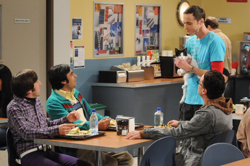 Sheldon (Jim Parsons, 2.v.r.) zeigt seinen Freunden Leonard (Johnny Galecki, r.), Wolowitz (Simon Helberg, l.) und Koothrappali (Kunal Nayyar, 2.v.l.) das Kätzchen, das er sich nach der Trennung von Amy angeschafft hat. – Bild: Warner Bros. Television