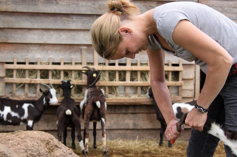 In Bettina Stadlers Betrieb wird schon seit 1983 auf biologische Landwirtschaft gesetzt. Milchvieh, Rinder- und Schweinemast, das sind die Standbeine des Hofes. Ihre Produkte und die anderer Landwirte bietet Bettina jeden Freitag zum Verkauf – ihr Bio-Hofladen in Niederholz hat sich zu einem beliebten Treffpunkt in der Region entwickelt. Für Bettina ist ihr Leben als Bäuerin perfekt, auch weil sie Beruf und Familie gut unter einen Hut bringen kann. – Bild: BR/​megaherz gmbh