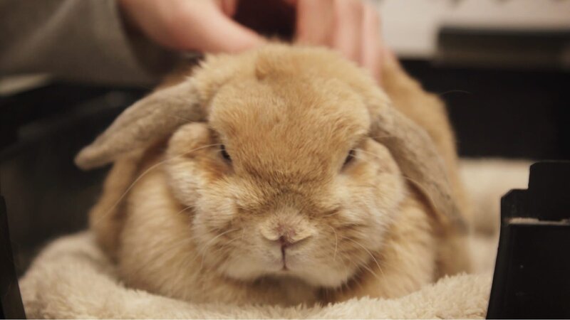 . – Bild: Warner Bros. Discovery