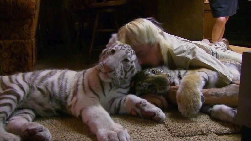 Joe Exotic with tiger cubs. – Bild: TLC