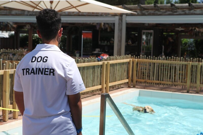 Ein Paradies für Hunde und ihre Besitzer: Auf dem Campingplatz gibt es ein eigenes Camp für Hunde inklusive Hunde-Pool. – Bild: ZDF/​Nikolai Trawinski