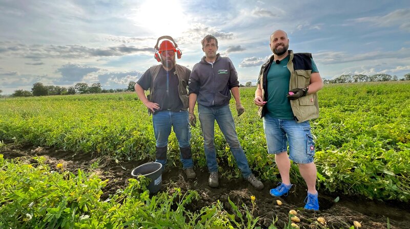 David, Ronny und Jonas auf dem Kartoffelfeld. – Bild: NDR/​Peter Janßen/​hoheluftfilm