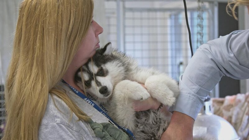 Bild: 2023 WTFN Entertainment Pty Ltd. Lizenzbild frei