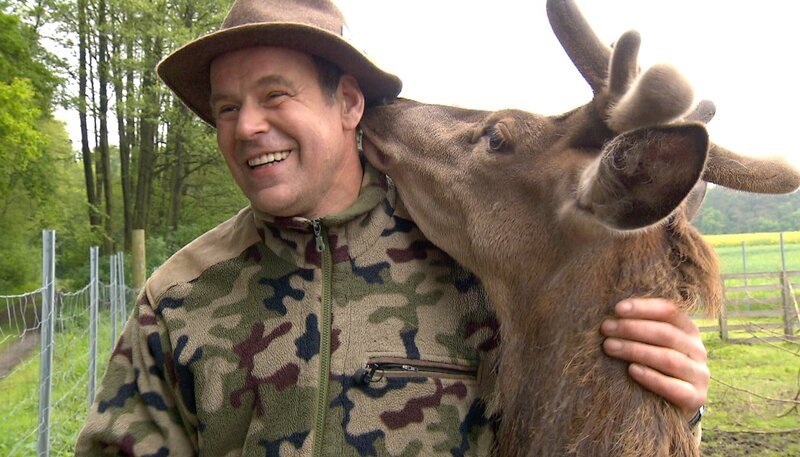 Hirsch Harry schmust mit Immo Ortleb. – Bild: NDR/​5ǀ14 FILM