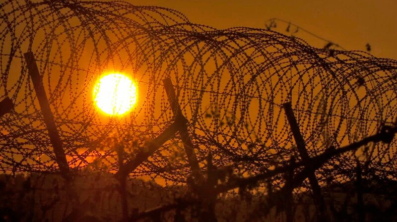 Koreas Sperrzone – Bild: phoenix