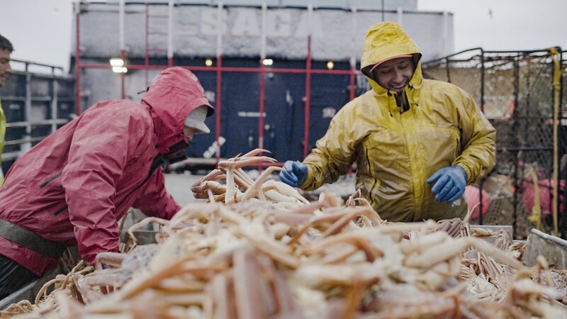 Saga Deck Boss, Joe Gomez, counts a good opie catch at the table. – Bild: Discovery Channel /​ Discovery Communications, LLC