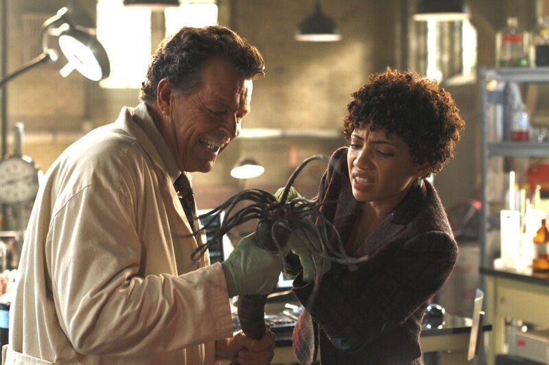 Walter (John Noble, l.) und Astrid (Jasika Nicole, r.) untersuchen einen mysteriösen Parasiten … – Bild: PLURIMEDIA (Warner Bros)