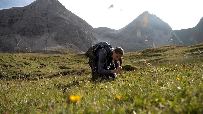 Bild: BR, south & browse GmbH /​ BR/​south & browse GmbH