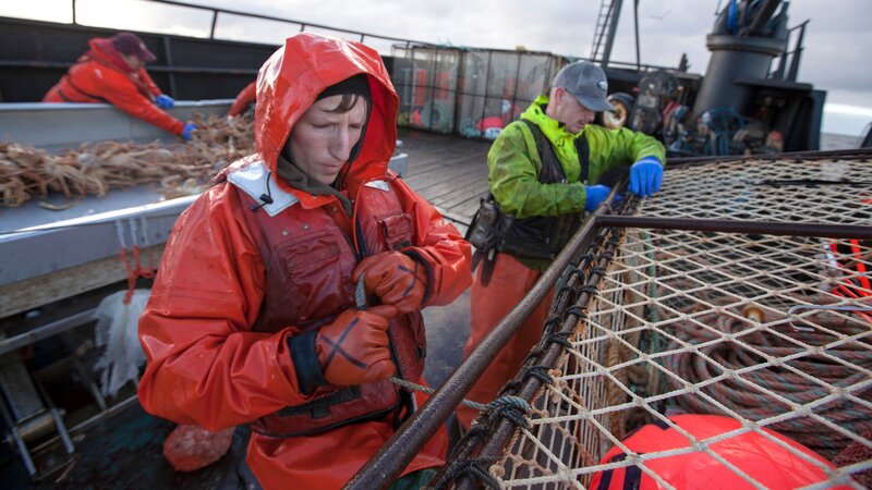 Wizard Greenhorn Dane Tebo prepping a pot. – Bild: Discovery Communications/​Josh Thomas