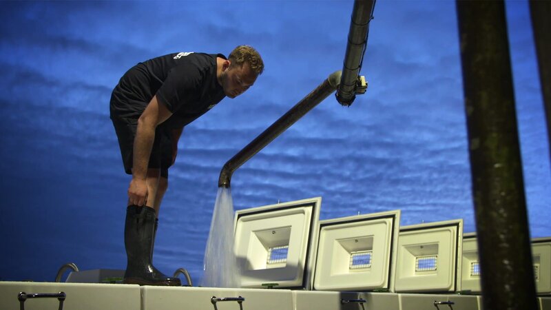 During truck loading. – Bild: DMAX