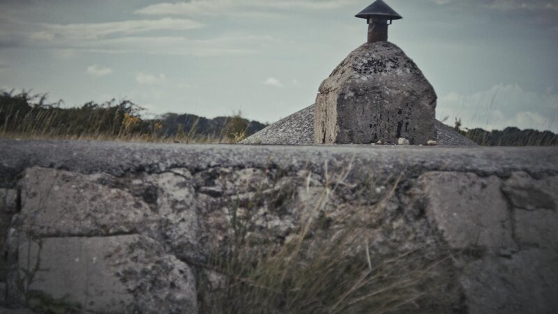 Bild: Go Button Media Lizenzbild frei