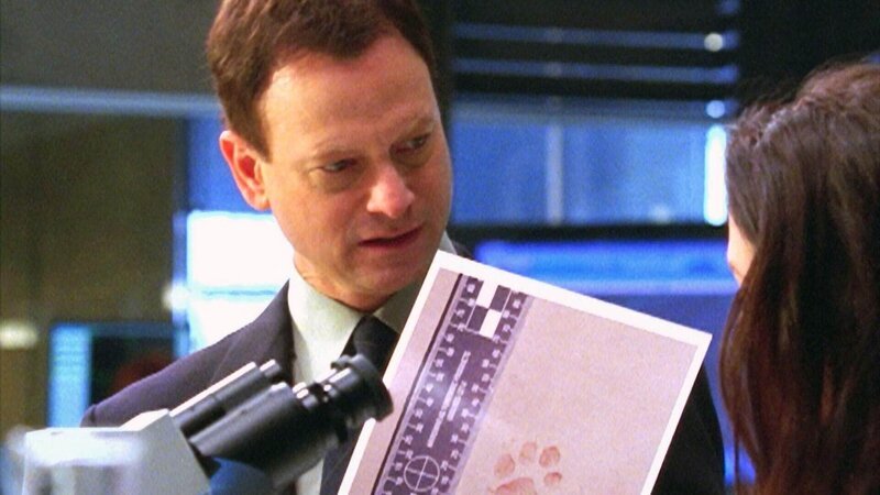 Bei der Leiche wird ein Hundehaar gefunden. Es ist für Detective Taylor (Gary Sinise) nur eine Frage der Zeit, bis er das Tier und seinen Besitzer ermittelt hat. – Bild: MG RTL D /​ CBS