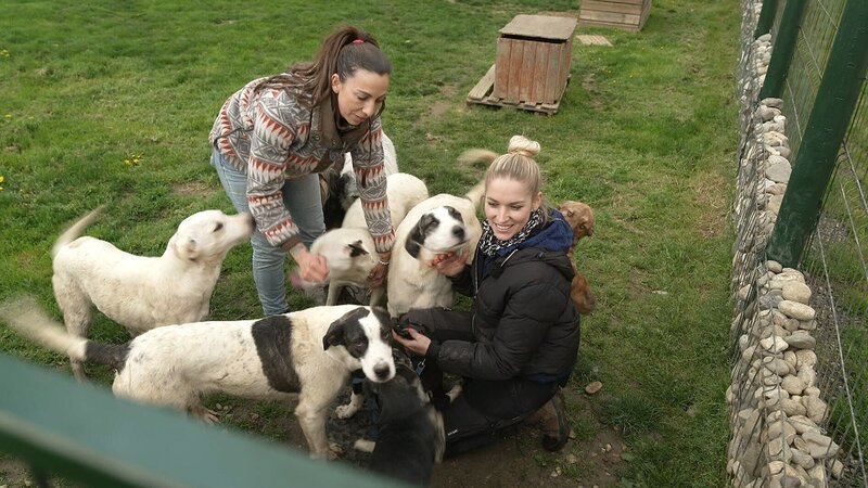 Expertin Ellen Marques (l.) und Hundetrainerin Conny Sporrer – Bild: RTL