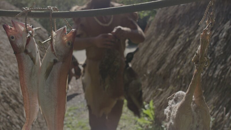 Vor etwa 9.000 Jahren durchstreifen dunkelhäutige, blauäugige Jäger und Sammler den europäischen Kontinent. – Bild: Tile Films Ltd. /​ ZDF und Tile Films Ltd.