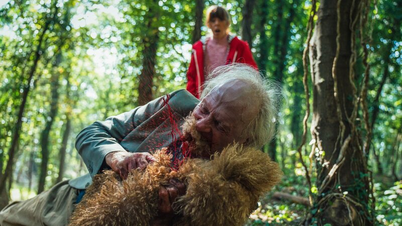 Schock für Jane: Der vermeintlich hilfsbedürftige Frank fällt plötzlich über ihren Hund her. – Bild: ZDF und James Pardon