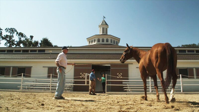 Sophie Devereaux (Gina Bellmann) besucht Baltimore im Stall – Bild: RTL /​ Hoch Gepokert