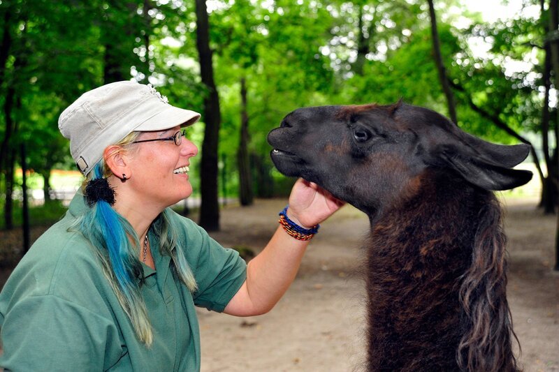 ARD/​rbb PANDA, GORILLA & CO., TEIL 260, „Geschichten aus dem Zoo Berlin und Tierpark Berlin“, am Freitag (23.08.13) um 16:10 Uhr im ERSTEN. Tierpflegerin Annett Krüger mit einem Lama – Bild: rbb/​Thomas Ernst