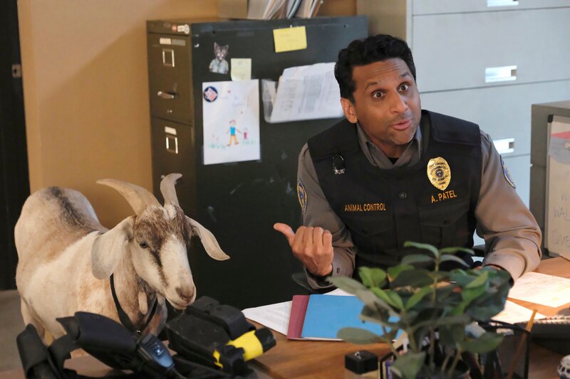 Amit Patel (Ravi Patel) – Bild: Bettina Strauss /​ FOX Entertainment