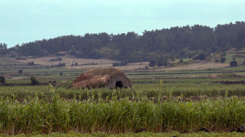 Die grasbedeckten Erhebungen auf der koreanischen Insel Jeju stammen aus der Zeit des Zweiten Weltkriegs. Die verfallenen Militäranlagen sind Relikte aus der japanischen Besatzungzeit. – Bild: N24 Doku