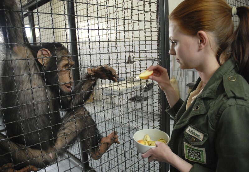 Schimpanse Jimmy leidet unter der Trennung von Gina. Anett (Anna Bertheau) versucht, ihn mit Leckereien aufzuheitern. – Bild: BR