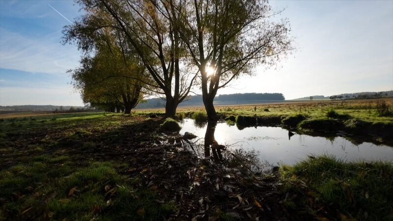 Hutelandschaft – Rodachaue. Die Rodach verschwindet kurz hinter ihrer Quelle im thüringischen Stressenhausen in der „Hutelandschaft Rodachaue“ unter einer Baumreihe. Auf ihrem Weg von Thüringen durch das Coburger Land wechselt sie dreimal die Landesgrenzen. Dabei durchfließt der kleine Fluss eine einzigartige Kultur- und Erinnerungslandschaft. – Bild: BR/​Christoph Puhr-Westerheide