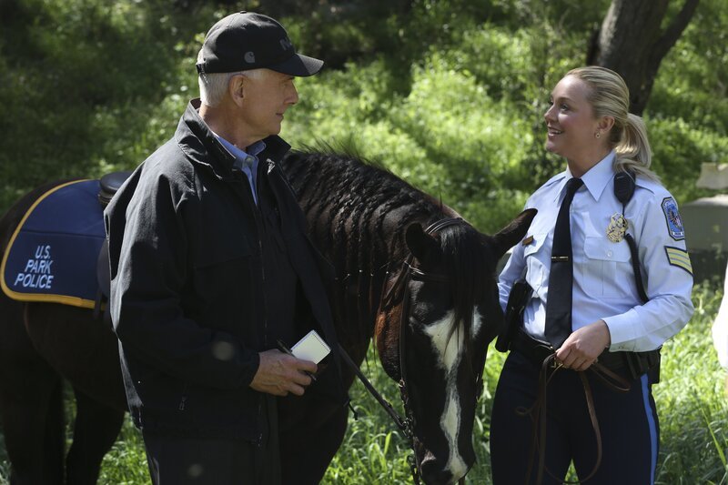 Um den aktuellen Fall lösen zu können, muss Gibbs (Mark Harmon, l.) mit May Dawson (Elisabeth Röhm, r.) kooperieren. Schnell findet er Gefallen an der Zusammenarbeit mit der Polizistin und ihrem tierischen Begleiter … – Bild: ProSiebenSat.1 Media SE