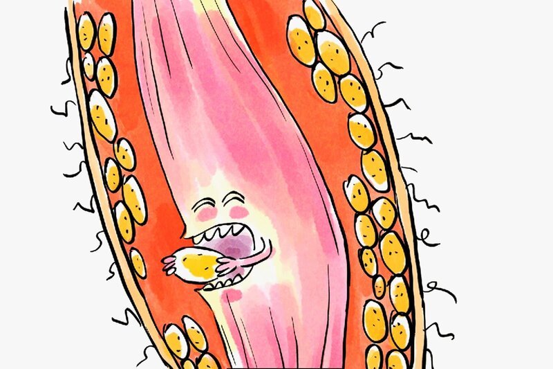 Es ist ein Trugschluss, zu glauben, dass Adipozyten bei körperlicher Anstrengung in Windeseile Fett verbrennen können ¿ – Bild: Folimage/​Ex Nihilo