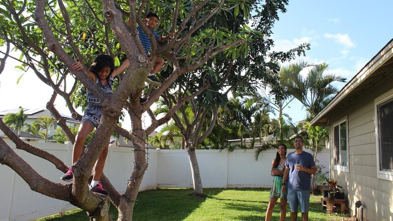 Home buyers Theresa Tiwari (L) & Sean Tiwari (R) watching their kids climb a tree in the backyard of the Kauhaa St house as seen on Hawaii Hunters (Action) – Bild: Scripps