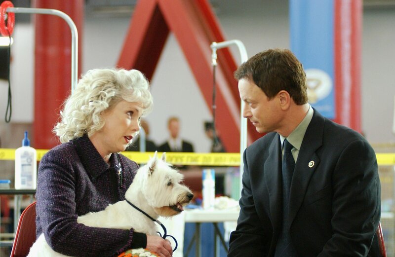 Hat Millie Hanford (Julia Duffy) mit einer Stricknadel ihre Konkurrentin von der Hundeshow erstochen? Detective Taylor (Gary Sinise) ermittelt. – Bild: MG RTL D
