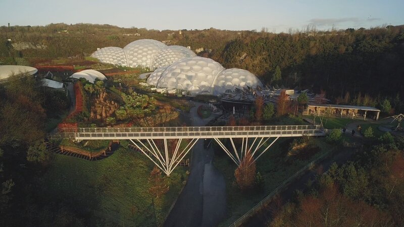 Ingenieurswissenschaften haben sich in der Natur besonders effiziente Strukturen zum Bau von Brücken oder Gebäuden abgeschaut. – Bild: ZDF und Axel Casters