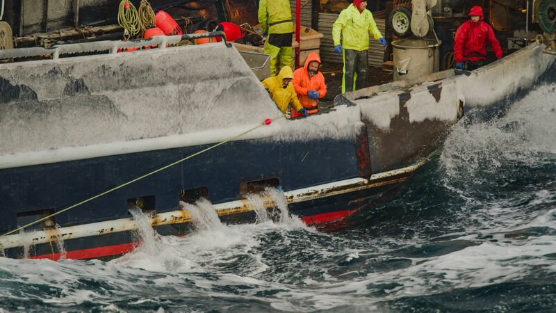 The Saga crew pulls up a pot in cold Bering sea weather. – Bild: Discovery Communications, LLC /​ /​Volumes/​C013_01268A/​C013_01268A.RDM/​C013_C041_0127VN.RDC/​C013_C041_0127VN_001.R3D /​ Discovery Channel
