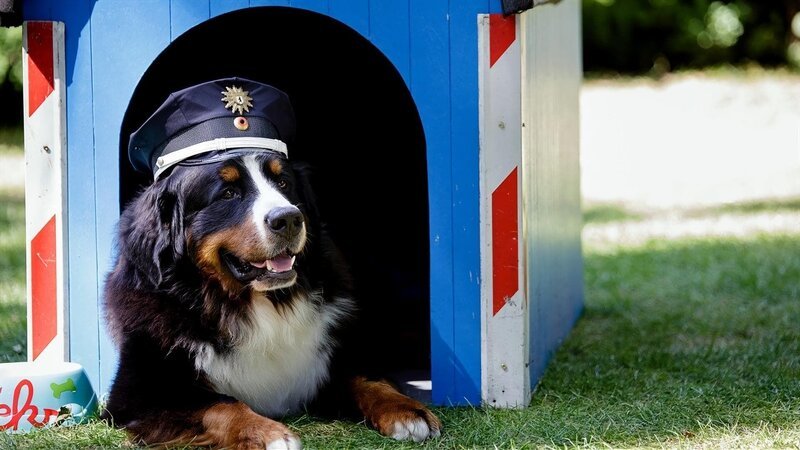 Spiegel – Die tückische Täuschung – 5; – Bild: ZDF/​ Andrea Hansen