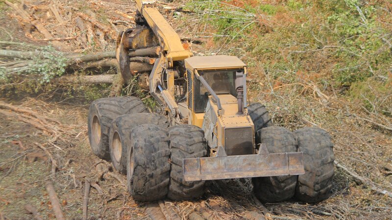 Closeup of skidder hauling trees. – Bild: Discovery Channel /​ Terry Pratt
