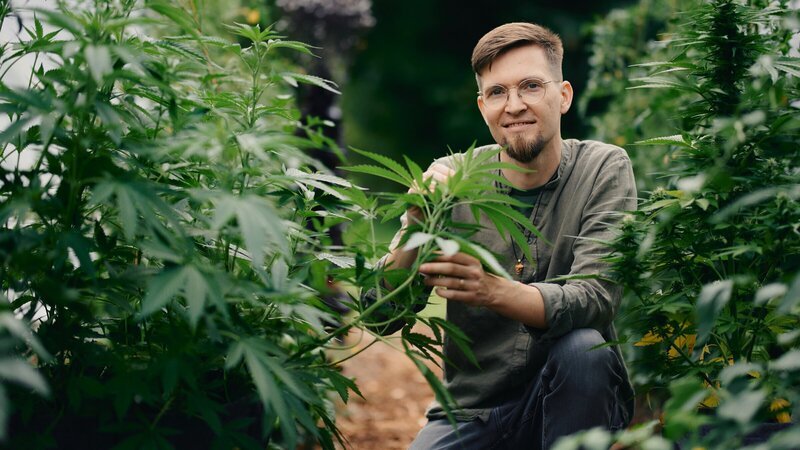 Dominik (33) war Deutschlands erster Cannabis-Sommelier. – Bild: ZDF und Jana Mai