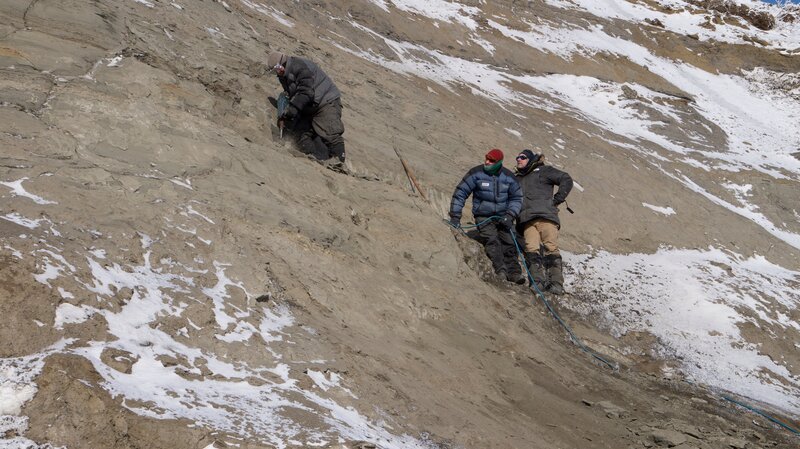 Betriebsleiter Kevin May (L) schneidet mit einem Presslufthammer einen Block gefrorenen Gesteins aus dem fossilen Knochenbett, während die Paläontologen Dr. Pat Druckenmiller und Dr. Greg Erickson aus der Ferne zusehen. – Bild: Caravan/​Chris Whiteneck /​ Nat Geo /​ Chris Whiteneck