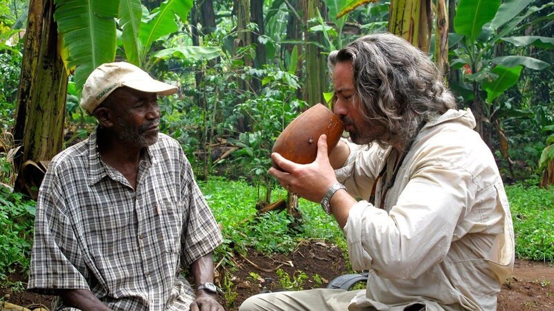 T Rex may have been king of the Cretaceous, but did he have brains to match the brawn? Palaeontologist Phil Manning attempts to find out. – Bild: National Geographic Wild