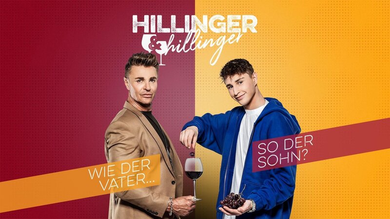 Hillinger & Hillinger – Artwork – Bild: PULS 4