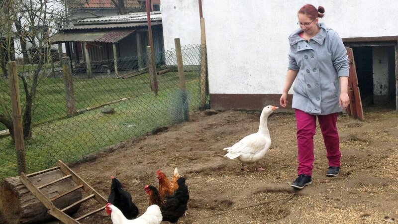 Tauschmutter Nicole muß sich auch um die Hühner und Gans kümmern.. – Bild: RTL II