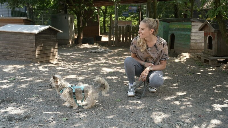 Hundetrainerin Conny Sporrer +++ Die Verwendung des sendungsbezogenen Materials ist nur mit dem Hinweis und Verlinkung auf RTL+ gestattet. +++ – Bild: RTL