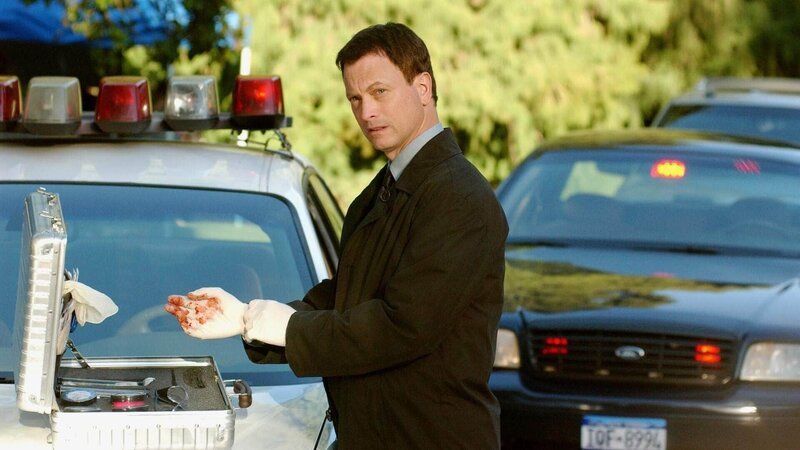 Im Central Park wird ein Officer von einem Heckenschützen erschossen. Detective Mac Taylor (Gary Sinise) ermittelt. – Bild: MG RTL D /​ CBS