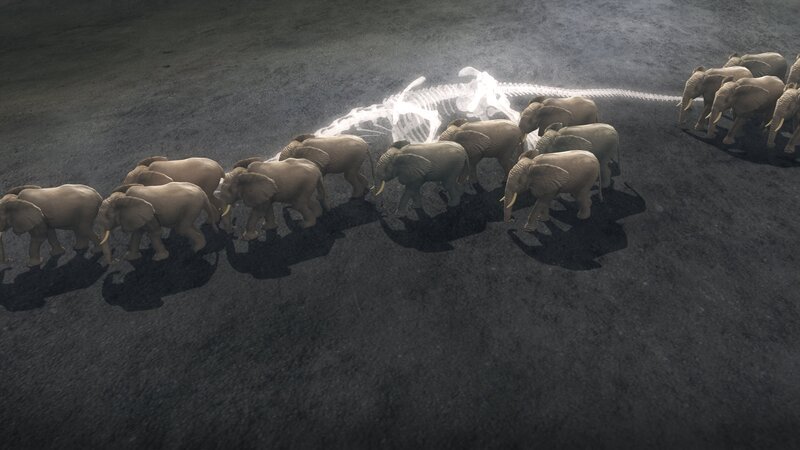 Große Dinosaurier wie Brachiosaurus, Diplodocus oder Supersaurus gehören zu den größten Wirbeltieren, die jemals auf der Erde gelebt haben. Ihre Existenz ist gut dokumentiert. Doch Phil Manning fragt sich, ob es nicht vielleicht noch größere Saurier gegeben haben könnte. Mit Hilfe von Ultraschall, Erkenntnissen der Raketenforschung und der Finite Element Analysis, einer mathematische Methode, die üblicherweise in der Physik oder im Bereich der Ingenieurswissenschaften verwendet wird, begibt sich der Dino-Forscher auf die Suche nach den größten Landbewohnern aller Zeiten. Ob er dabei fündig … – Bild: National Geographic