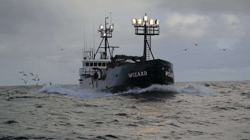 Wizard. – Bild: Discovery Communications