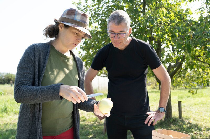 Obstexpertin Elisabeth Arming (Leitung Fachbereich Obst Verein Arche Noah) mit Unterstützung aus dem Arche Noah-Team bei der pomologischen Untersuchung eines Apfels der Sorte „Waldviertler Böhmer“. – Bild: ServusTV /​ Terra Mater Studios