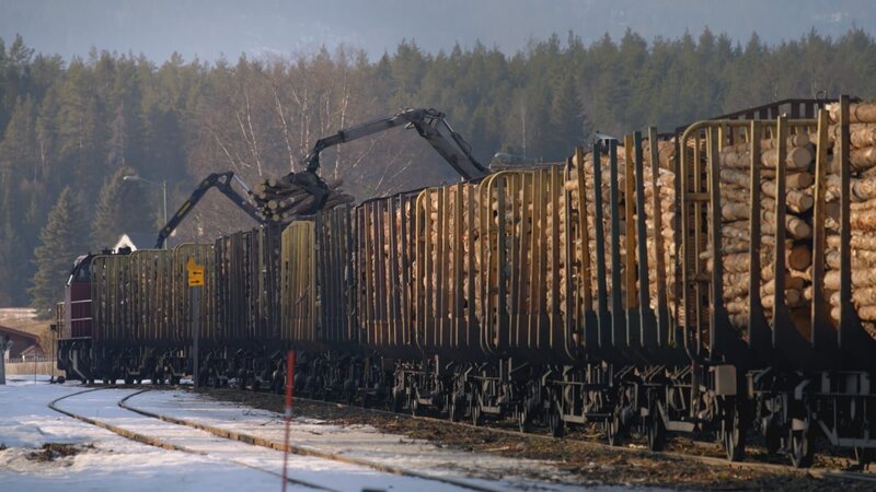 Güterzüge, die norwegisches Holz transportieren, nutzen dieselbe Strecke wie Personenzüge auf der Strecke nach Bergen. – Bild: Renegade Pictures
