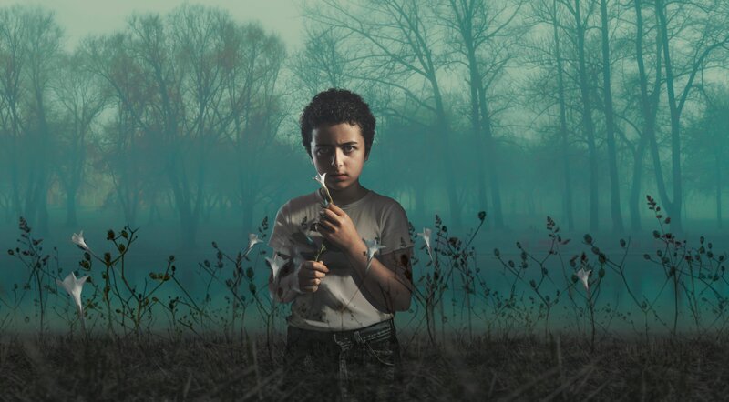 Elisha Henig (Julian Walker). – Bild: ORF/​Universal