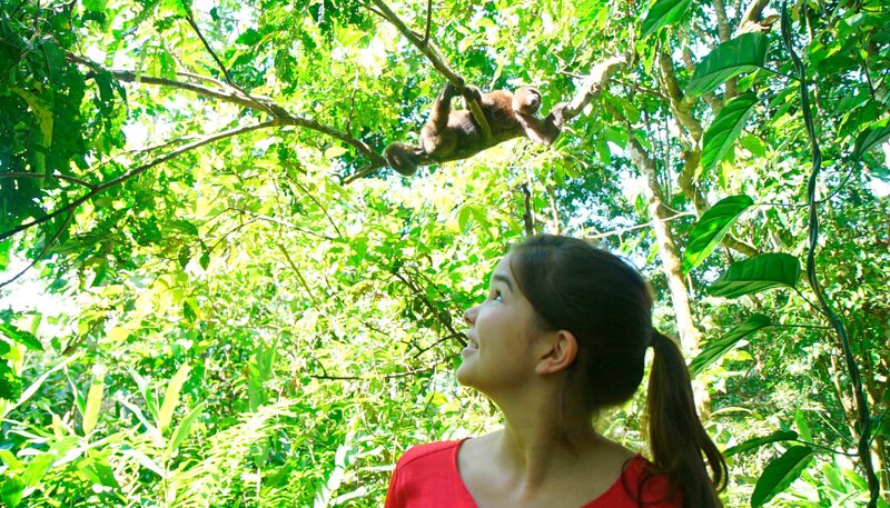 Anna mit einem Wollaffen in der Auffangstation amaZOOnico. Schon bald wird er wieder in Freiheit leben können. Weiteres Bildmaterial finden Sie unter www.br-foto.de. – Bild: BR/​TEXT + BILD Medienproduktion